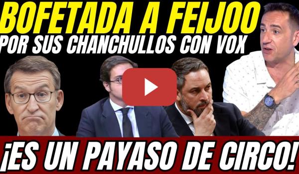 Embedded thumbnail for 🔥 ¡Es un PAYASO! Emilio Delgado EXPLOTA contra Feijóo por sus CHANCHULLOS EXTREMISTAS con VOX