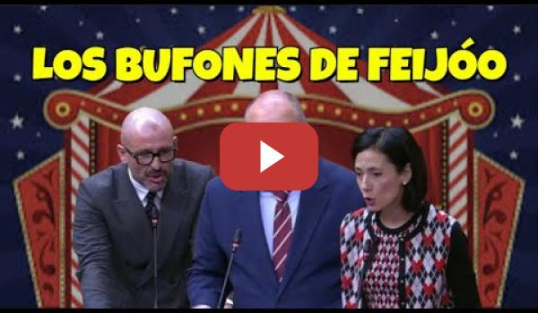 Embedded thumbnail for Los Bufones del PP sueltan insultos y bulos ante la Anatomía de Feijóo