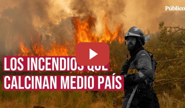 Embedded thumbnail for Los incendios forestales activos en ocho comunidades autónomas de España