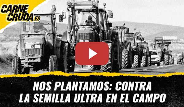 Embedded thumbnail for T12x113 - Nos plantamos: contra la semilla ultra en el campo (CARNE CRUDA)
