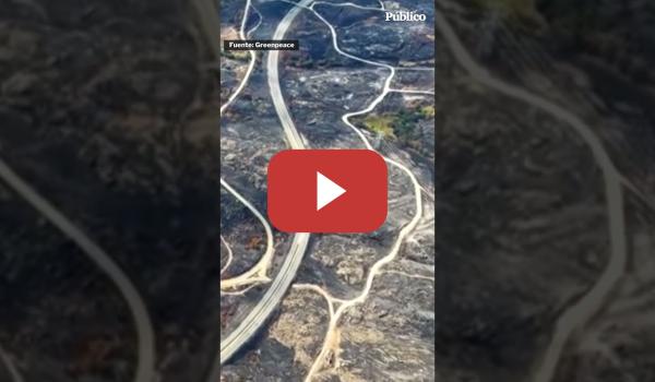 Embedded thumbnail for Imágenes aéreas grabadas por Greenpeace muestran las consecuencias de los incendios forestales