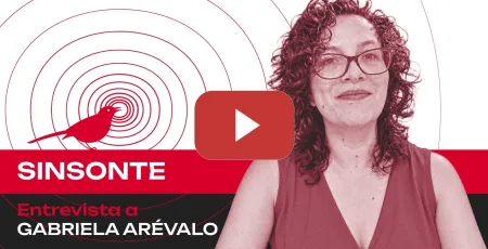 Embedded thumbnail for ¿Para qué sirve la prueba PISA? | Gabriela Arévalo lo analiza en Sinsonte