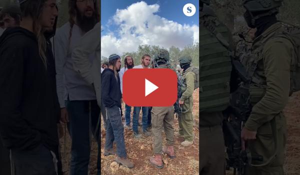 Embedded thumbnail for Colonos y soldados sionistas atacan la cosecha de la aceituna al sur de Nablus