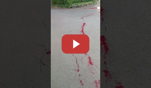 Embedded thumbnail for 🔴Un grupo de activistas crea una embajada palestina en Bruselas.