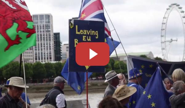 Embedded thumbnail for Cientos de británicos se concentran para pedir el retorno a la UE el pasado fin de semana