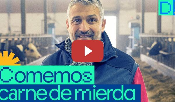 Embedded thumbnail for Ganadero habla claro y señala las causas de la peste porcina