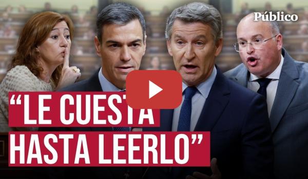 Embedded thumbnail for ARMENGOL responde a TELLADO en el CONGRESO: "No hay nada más cobarde"