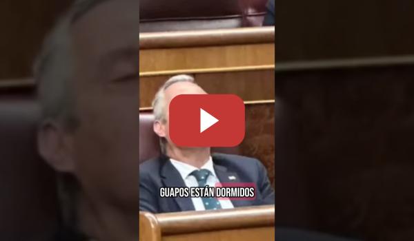 Embedded thumbnail for Un diputado de VOX supera a Abascal y se echa la siesta en el escaño directamente