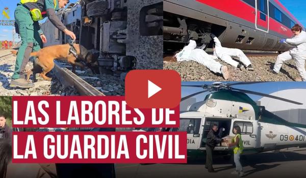 Embedded thumbnail for Así son los trabajos de la GUARDIA CIVIL en la zona del accidente de Adamuz
