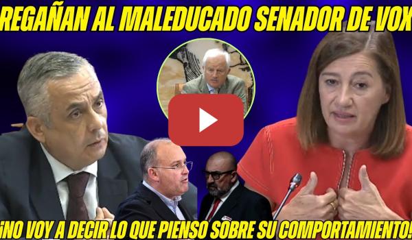Embedded thumbnail for BRONCA entre ARMENGOL y GORDILLO (Vox) Comisión Caso KOLDO: ¡El Presidente del PP le REGAÑA!
