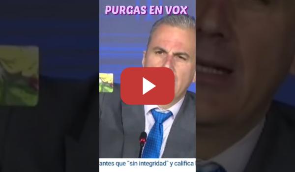 Embedded thumbnail for GUERRA ABIERTA EN VOX: ECHAN A ORTEGA SMITH