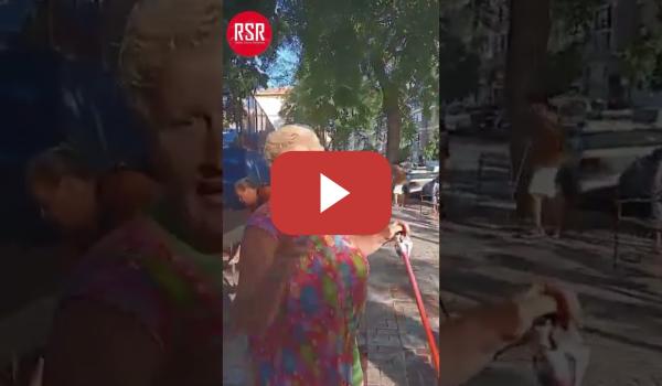 Embedded thumbnail for Si el Alcalde Málaga no limpia la ciudad, la gente lo hace