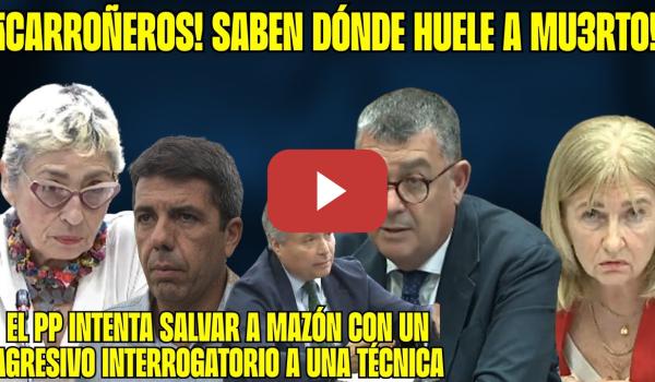 Embedded thumbnail for REPRIMENDA de Enric Morera al PP. Senador del PP MALEDUCADO con una TÉCNICA para DEFENDER a MAZÓN!