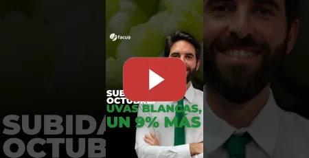 Embedded thumbnail for SUBIDAS EN OCTUBRE: UVAS BLANCAS, UN 9% MÁS