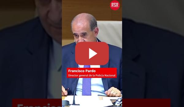 Embedded thumbnail for Director de la Policía Nacional a VOX