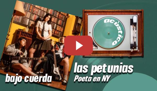 Embedded thumbnail for Bajo cuerda | Las Petunias - Poeta en NY (acústico)