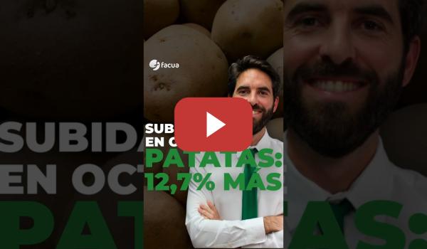 Embedded thumbnail for SUBIDAS EN OCTUBRE: PATATAS, UN 12,7% MÁS