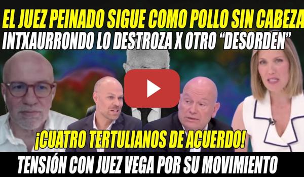 Embedded thumbnail for POTENTE CASTAÑAZO de Intxaurrondo a Peinado, q PONE a 4 TERTULIANOS en su CONTRA💢¡Sigue ERRE q ERRE!