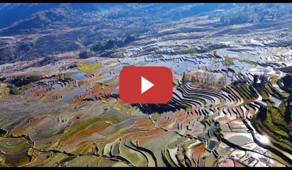Embedded thumbnail for Avanzar hacia el desarrollo sostenible: La sabiduría ecológica de las terrazas milenarias | CGTN