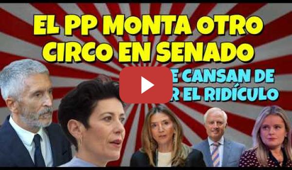 Embedded thumbnail for El PP en el Senado monta otro circo de Bulos, Infamias e Insultos contra el Gobierno