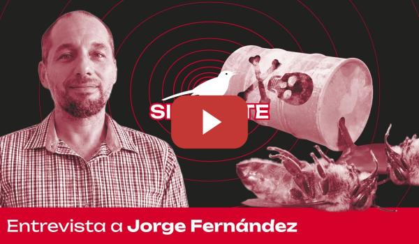 Embedded thumbnail for ¿LA CORTE PUEDE DECIDIR SI LAS ABEJAS SON SUJETOS DE DERECHO? | Jorge Fernández en Sinsonte