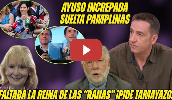 Embedded thumbnail for AGUIRRE pide TAMAYAZO contra SÁNCHEZ. Delgado y Ekaizer la DESTRUYEN! AYUSO INCREPADA RESIDENCIAS!