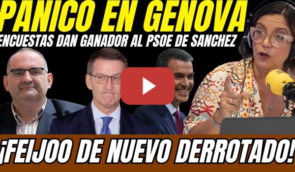 Embedded thumbnail for 🗳️ ¡PÁNICO en GÉNOVA! NUEVAS ENCUESTAS REVELAN VICTORIA de Pedro Sánchez en las ELECCIONES