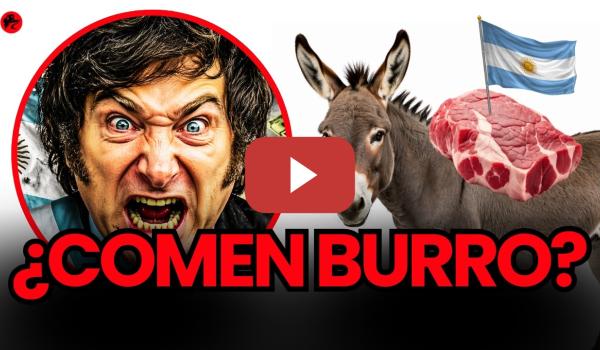 Embedded thumbnail for ARGENTINA EN CRISIS: ¿Han empezado a comer CARNE DE BURRO?