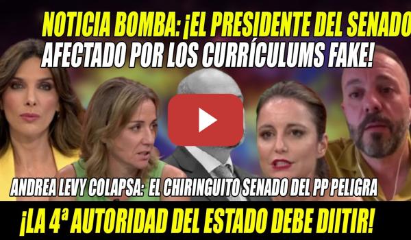 Embedded thumbnail for BOMBAZO de Maestre💥PP en PÁNICO💥Presidente SENADO, Rollán, SALPICADO x CURRÍCULUM FAKE💥Levy COLAPSA