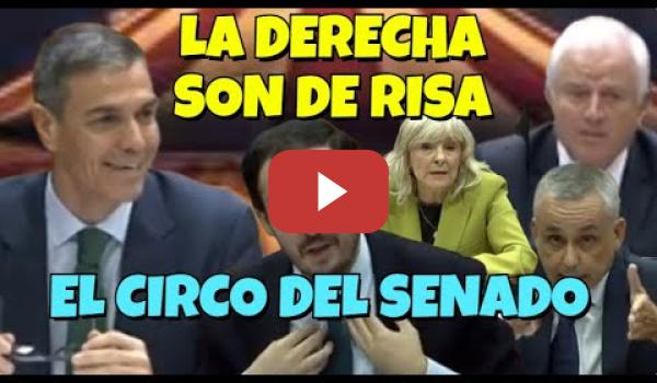 Embedded thumbnail for Resumen del Circo del Senado del PP contra Pedro Sánchez