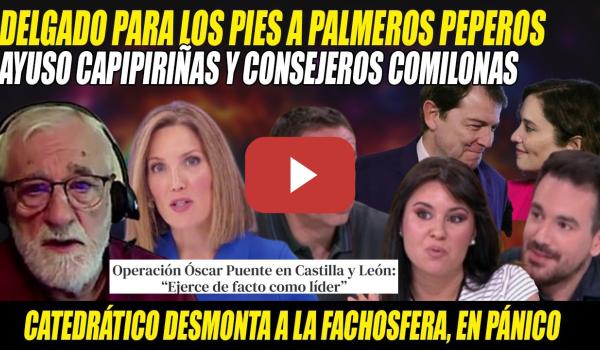Embedded thumbnail for PÁNICO en el PP x GESTIÓN con CAIPIRIÑAS de Ayuso💢Delgado y CATEDRÁTICO ARRASAN FACHOSFERA y LACAYOS