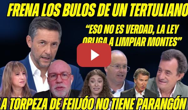Embedded thumbnail for RUIZ CORTA a un BULERO de DERECHAS. CINISMO de TELLADO. JUEZ DESMONTA a FEIJÓO ¿El PP quería el 155?