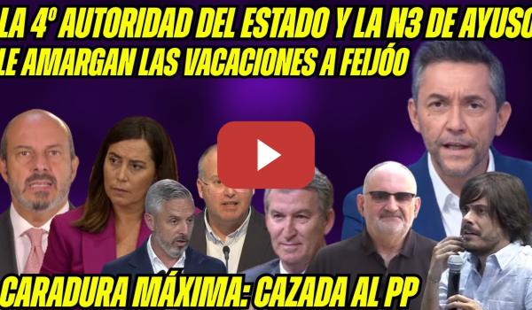 Embedded thumbnail for MIEDO en el PP: Pedro Rollán y Ana Millán PILLADOS FALSEANDO CURRÍCULUM ¡TRAMA GENERALIZADA!