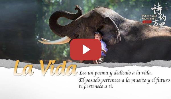 Embedded thumbnail for Episodio II de Poesía sin Fronteras II: La Vida | CGTN