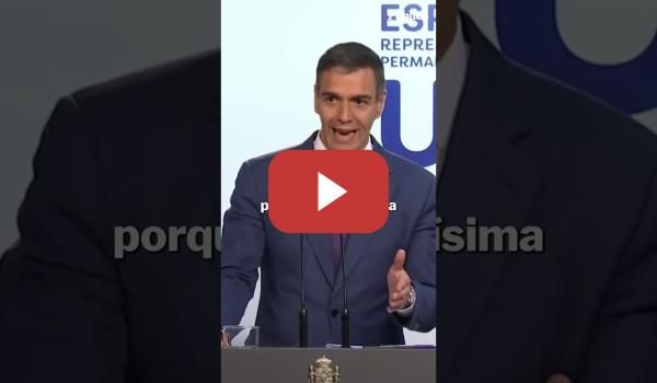 Embedded thumbnail for El mensaje de Sánchez en defensa de la regularización de personas migrantes