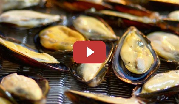 Embedded thumbnail for Dones de la naturaleza (2): Los mejillones de Shengsi | CGTN