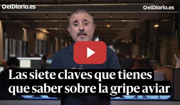 Embedded thumbnail for Las siete claves que tienes que saber sobre la gripe aviar