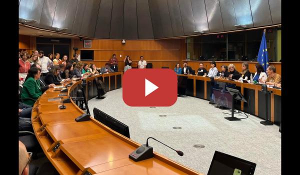 Embedded thumbnail for Eurodiputados reciben a las víctimas de la dana en Bruselas