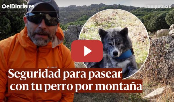Embedded thumbnail for Seguridad para tu perro en la montaña: ¿Qué debo tener en cuenta para pasear sin riesgo? · CAMPOBASE
