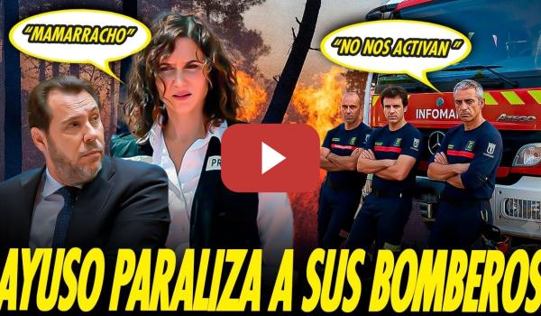 Embedded thumbnail for AYUSO DESARTICULA EL SERVICIO DE BOMBEROS MIENTRAS ARDE MADRID