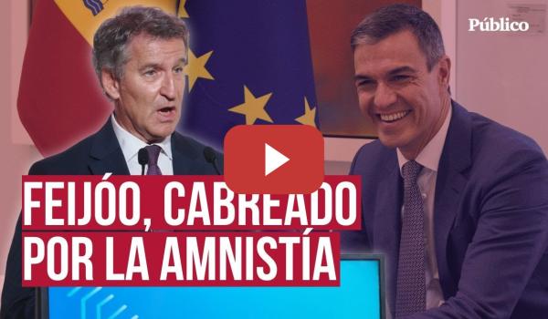Embedded thumbnail for Jarro de agua fría para el PP tras el aval del Constitucional a ley de amnistía: &quot;Muy buena noticia&quot;