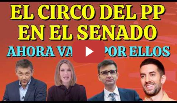 Embedded thumbnail for El PP del Senado crea una Comisión para atacar a RTVE y favorecer a las Televisiones Privadas
