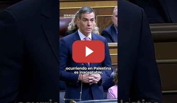 Embedded thumbnail for Parar todo por Palestina