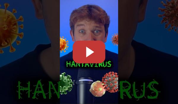 Embedded thumbnail for 🦠 Hantavirus
