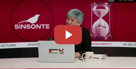 Embedded thumbnail for ¿Se viene un nuevo revés para Trump con las midterms? | SINSONTE