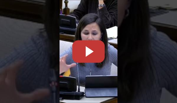 Embedded thumbnail for Ione Belarra cuenta la realidad de la vivienda en Eapaña