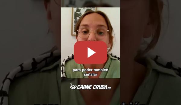 Embedded thumbnail for Revoltes de la Terra: sabotaje contra Israel y su genocidio (CARNE CRUDA)