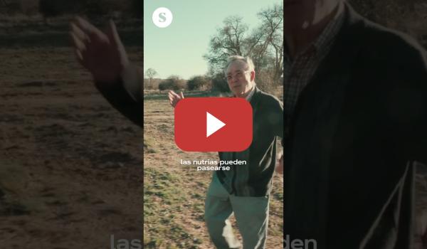 Embedded thumbnail for La “Ciudad del Medio Ambiente” que fue declarada ilegal.