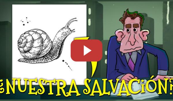 Embedded thumbnail for Guía BÁSICA de ECOLOGÍA SENSATA