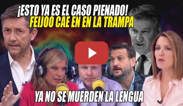 Embedded thumbnail for ¡Es el CASO PEINADO!📢ESCABECHINA FACHA de Riuz,Palomera,Intxaurrondo y Gallego x los PREVARICADORES
